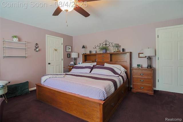7284 Beard Rd, Clyde, MI 48049 - photo 56