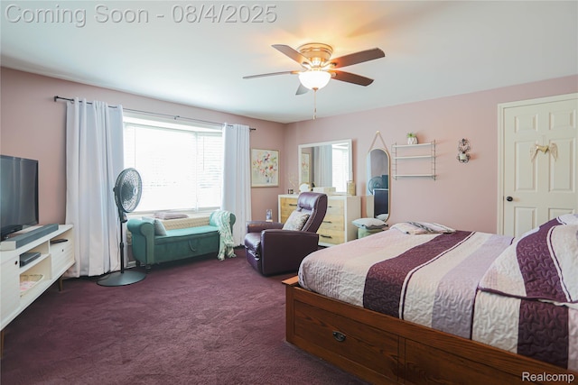 7284 Beard Rd, Clyde, MI 48049 - photo 55