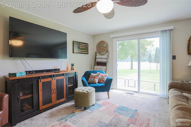 7284 Beard Rd, Clyde, MI 48049 - photo 42