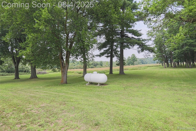 7284 Beard Rd, Clyde, MI 48049 - photo 22