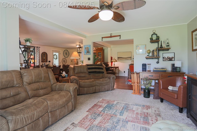 7284 Beard Rd, Clyde, MI 48049 - photo 43