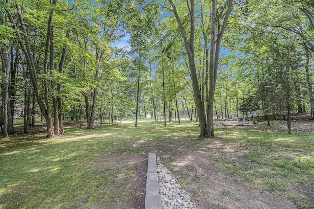 9435 Golf Port Dr, Canadian Lakes, MI 49346 - photo 27