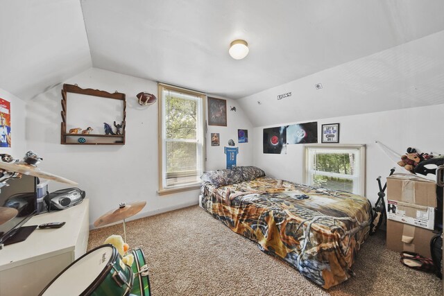 87 State St, Hillsdale, MI 49242 - photo 21