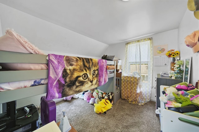 87 State St, Hillsdale, MI 49242 - photo 23