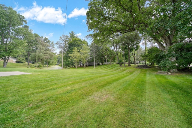 1337 Badgley Rd, Jackson, MI 49203 - photo 67