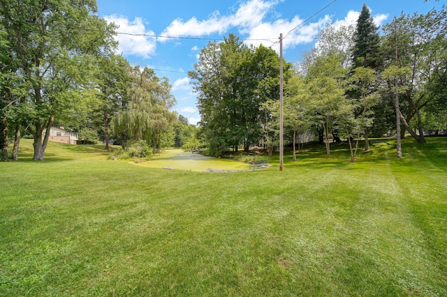 1337 Badgley Rd, Jackson, MI 49203 - photo 68