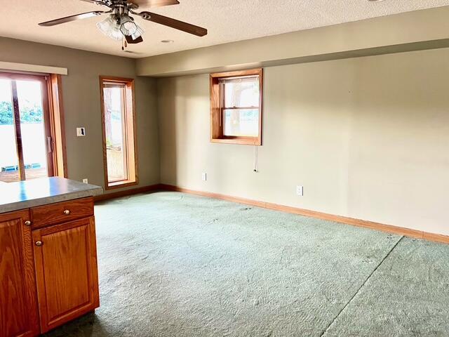 3283 W Ridge St, White Cloud, MI 49349 - photo 4