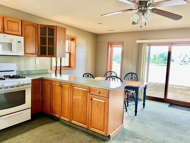 3283 W Ridge St, White Cloud, MI 49349 - photo 5