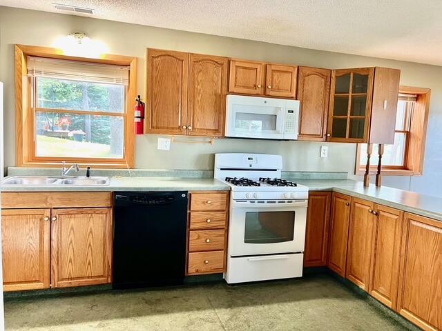 3283 W Ridge St, White Cloud, MI 49349 - photo 6