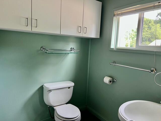3283 W Ridge St, White Cloud, MI 49349 - photo 23