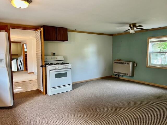 3283 W Ridge St, White Cloud, MI 49349 - photo 17
