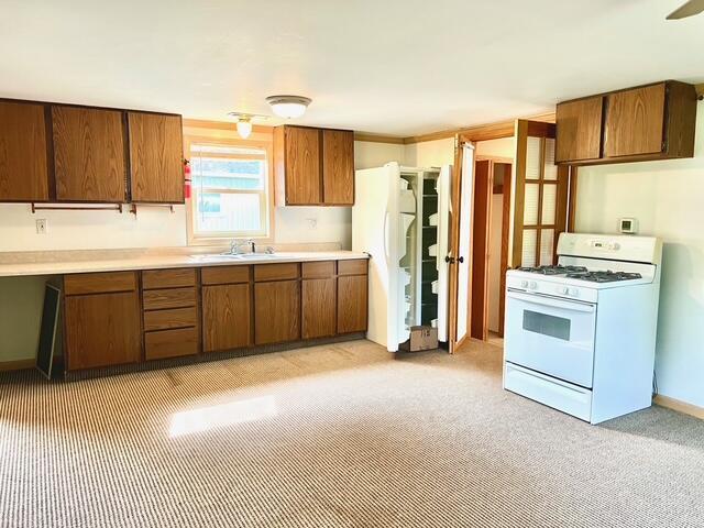 3283 W Ridge St, White Cloud, MI 49349 - photo 16