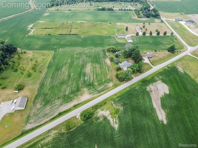 9133 S Stony Creek Rd, Carleton, MI 48117 - photo 4