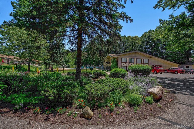 25351 Franklin Ter, South Lyon, MI 48178 - photo 20