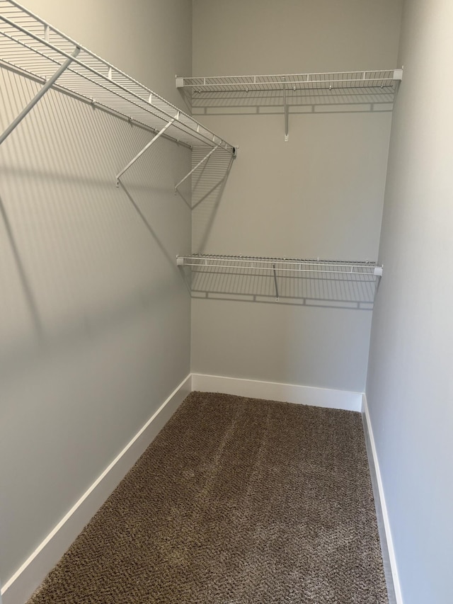5080 Wilshire Drive St Unit 53, Dundee, MI 48131 - photo 11