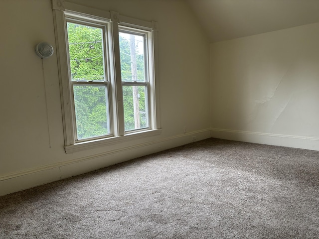 337 W Biddle St, Jackson, MI 49203 - photo 14