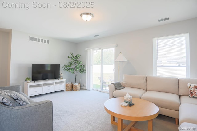 13717 Villa Pointe Dr, Warren, MI 48088 - photo 8