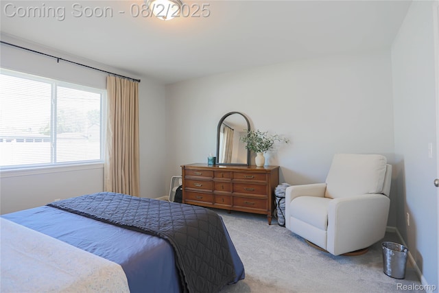 13717 Villa Pointe Dr, Warren, MI 48088 - photo 17