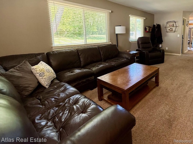5337 Wakefield Rd, Grand Blanc, MI 48439 - photo 15