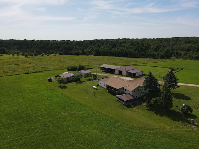 2812 Shoreline Dr, Lupton, MI 48635 - photo 58