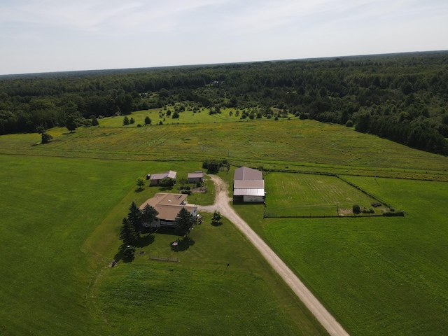 2812 Shoreline Dr, Lupton, MI 48635 - photo 59