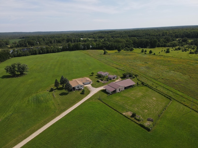 2812 Shoreline Dr, Lupton, MI 48635 - photo 60