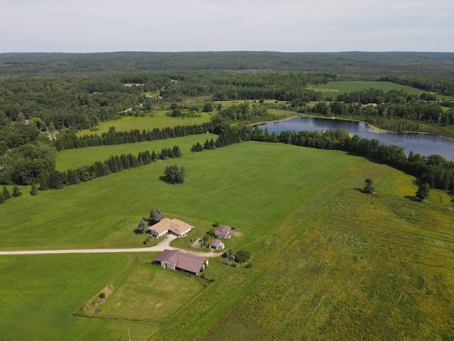 2812 Shoreline Dr, Lupton, MI 48635 - photo 62