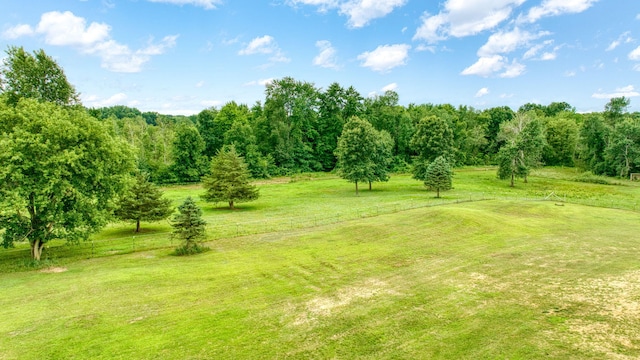 11571 Riethmiller Rd, Grass Lake, MI 49240 - photo 62