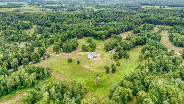 11571 Riethmiller Rd, Grass Lake, MI 49240 - photo 65