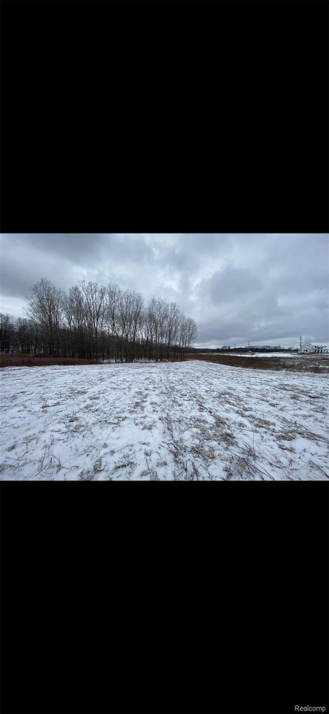 0000 Pingree Rd, Howell, MI 48843 - photo 3