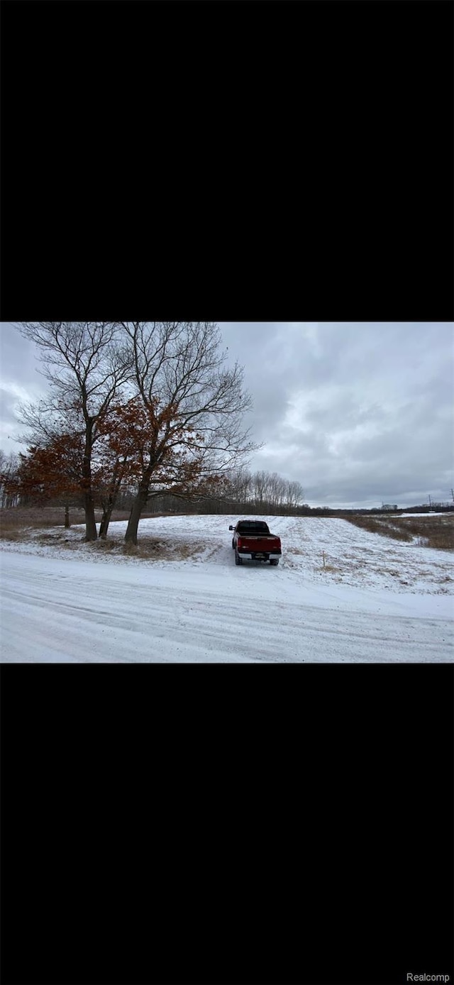 0000 Pingree Rd, Howell, MI 48843 - photo 4