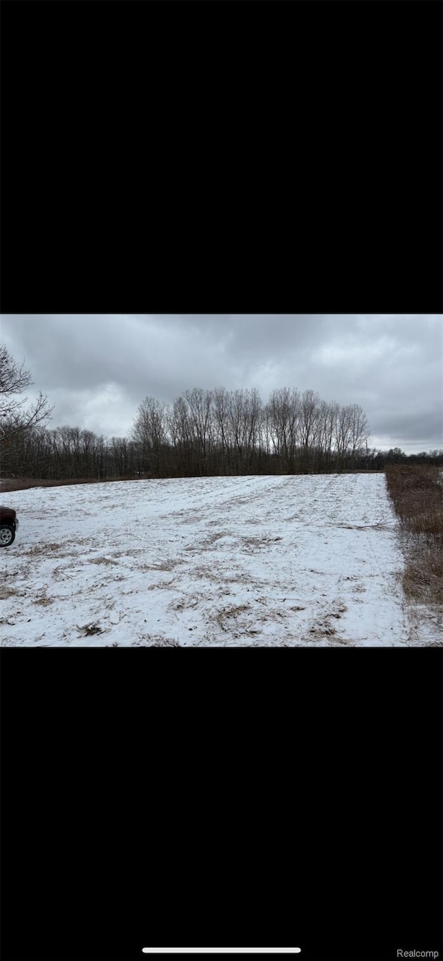 0000 Pingree Rd, Howell, MI 48843 - photo 6