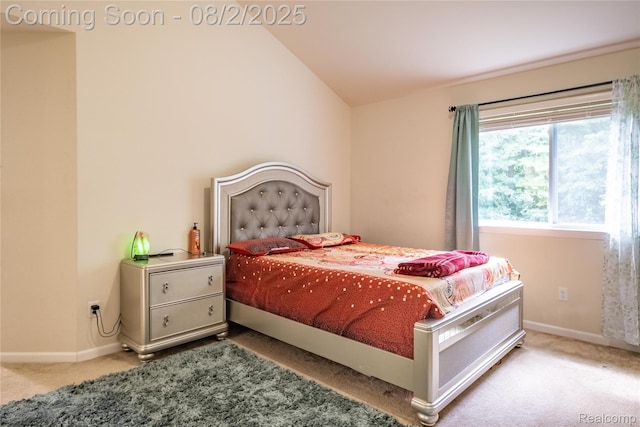 17341 Spartan Dr, Romulus, MI 48174 - photo 29