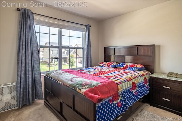 17341 Spartan Dr, Romulus, MI 48174 - photo 17