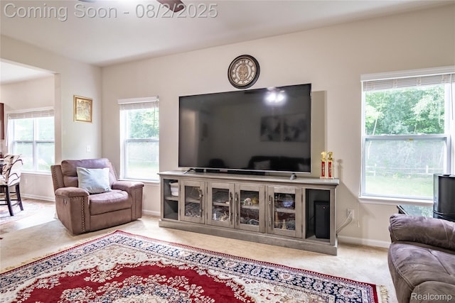 17341 Spartan Dr, Romulus, MI 48174 - photo 16