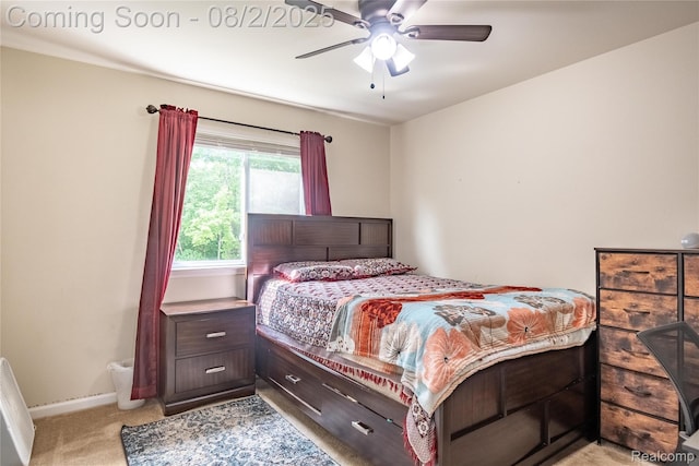 17341 Spartan Dr, Romulus, MI 48174 - photo 24