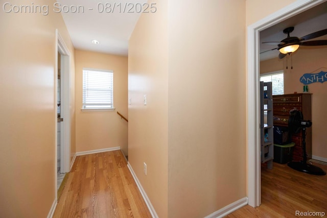 15078 Oldham St, Taylor, MI 48180 - photo 32