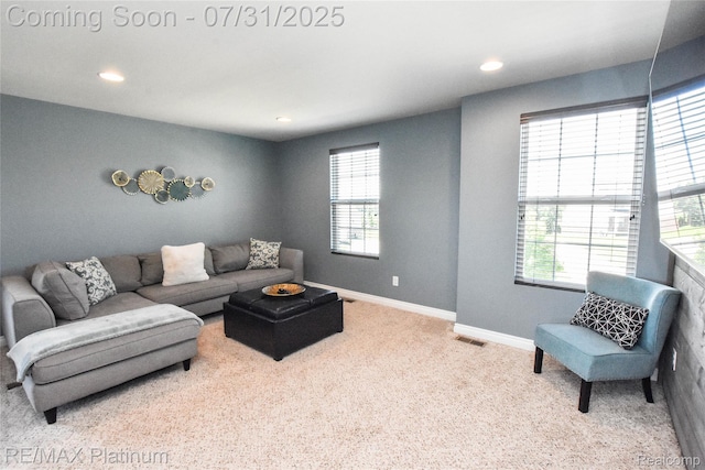 29848 Braeburn, New Hudson, MI 48165 - photo 36