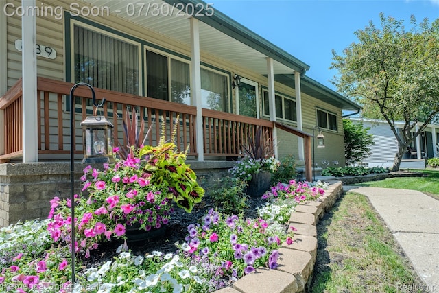 839 Sweetbriar, Milford, MI 48381 - photo 7
