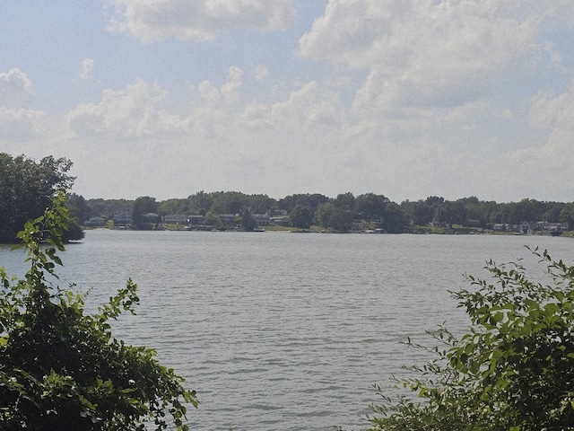 11714 Bradley Dr, Jerome, MI 49249 - photo 4