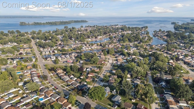 30083 Lisch St, Gibraltar, MI 48173 - photo 48