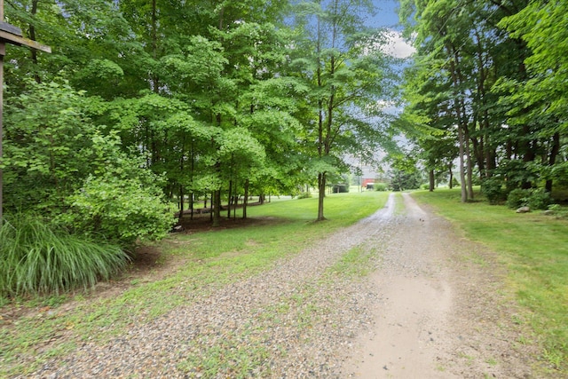 10660 D Dr S, Ceresco, MI 49033 - photo 46