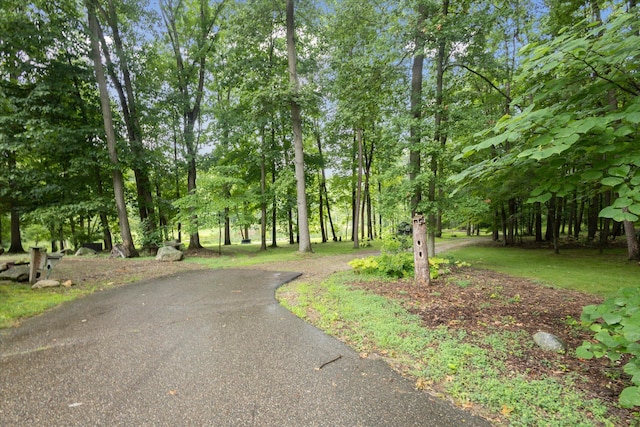 10660 D Dr S, Ceresco, MI 49033 - photo 45