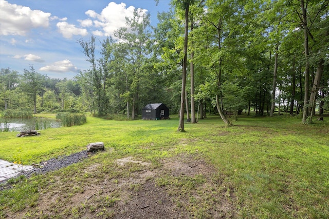10660 D Dr S, Ceresco, MI 49033 - photo 44