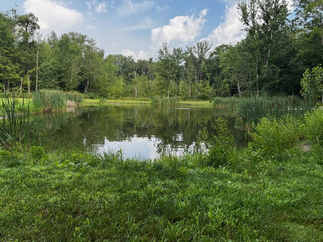 10660 D Dr S, Ceresco, MI 49033 - photo 42