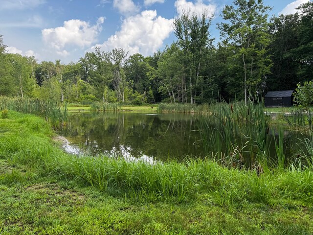10660 D Dr S, Ceresco, MI 49033 - photo 43