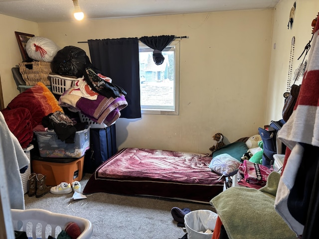 21679 M-140, South Haven, MI 49090 - photo 8