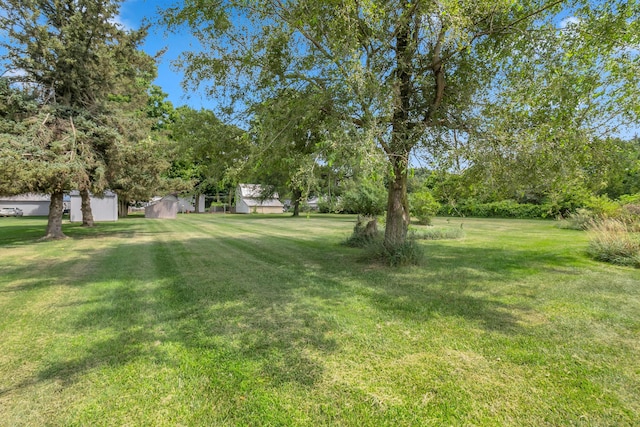 299 Bater Rd, Coldwater, MI 49036 - photo 32