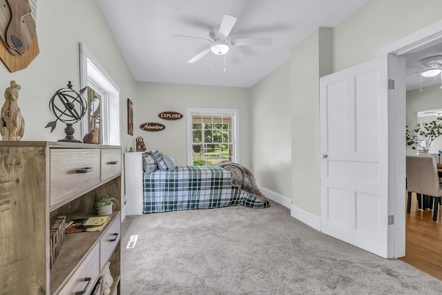 299 Bater Rd, Coldwater, MI 49036 - photo 12
