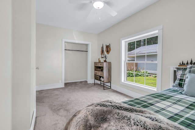 299 Bater Rd, Coldwater, MI 49036 - photo 13